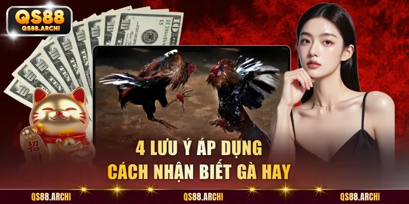 4 lưu ý áp dụng cách nhận biết gà hay