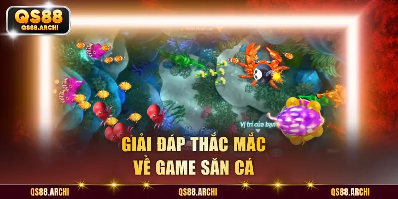 Giải đáp thắc mắc về game săn cá