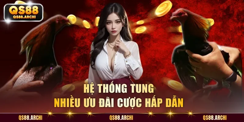 Hệ thống tung nhiều ưu đãi cược hấp dẫn