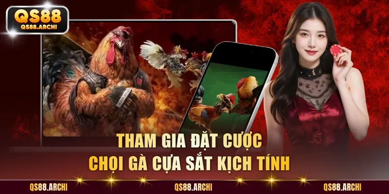 Tham gia đặt cược chọi gà cựa sắt kịch tính